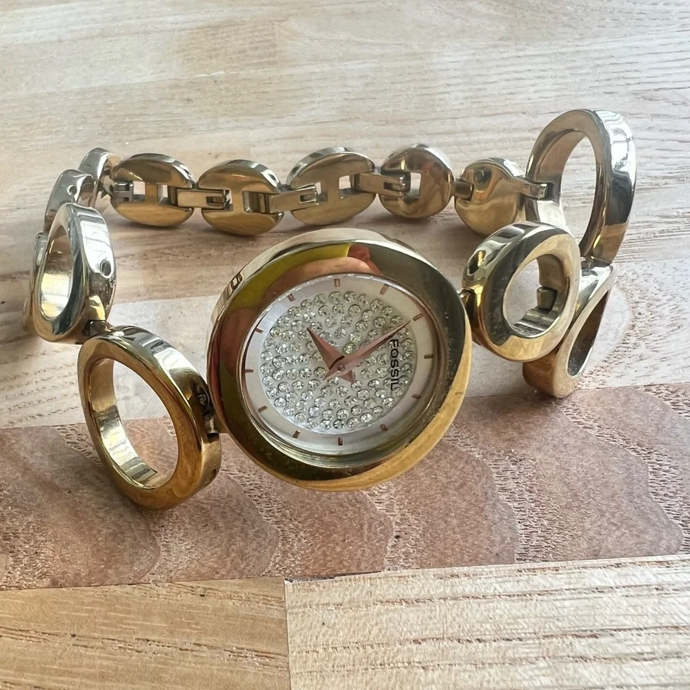 Fossil brand model